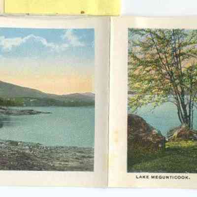 Phyllis Young Collection    042q,r