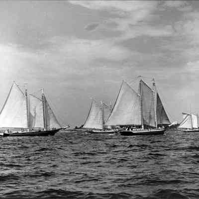 Schooners in Camden Harbor