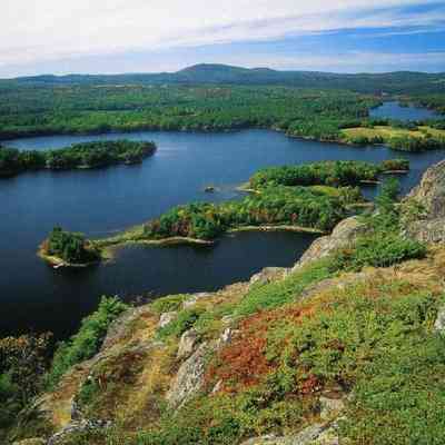 Milliken Collection 122