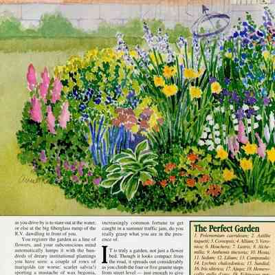 Perfect Garden - p. 2