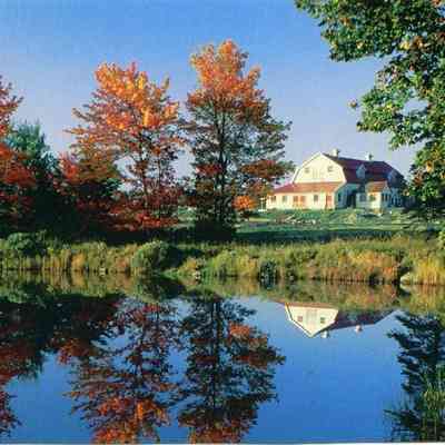 Milliken Collection 124