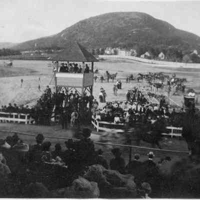 Camden Trotting Park