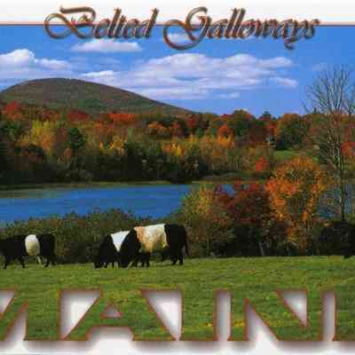 Milliken Collection 125