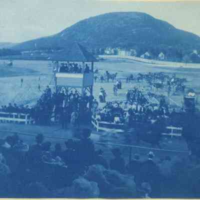 Camden Trotting Park