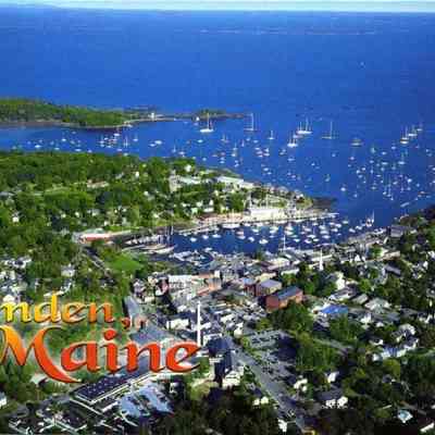 Milliken Collection 126