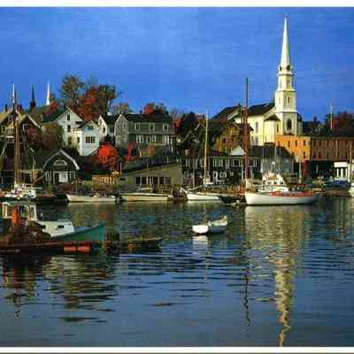 Milliken Collection 127