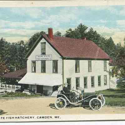 Bowley Collection Postcard 232 A