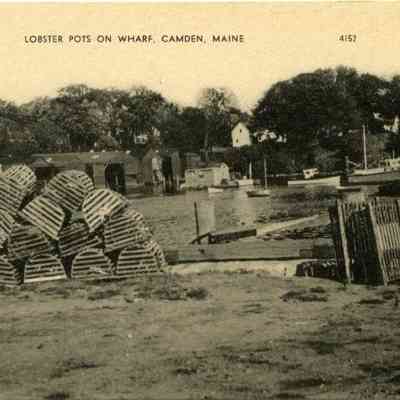 Milliken Collection 133