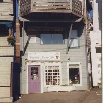 Goodwin Collection 085