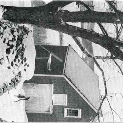 Milliken Collection 134