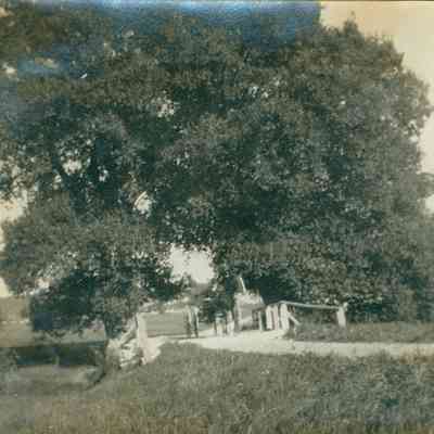 Camden area photographs