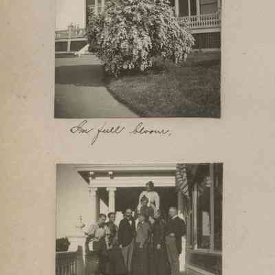 "In full bloom."; "The B.R's and H.B's."