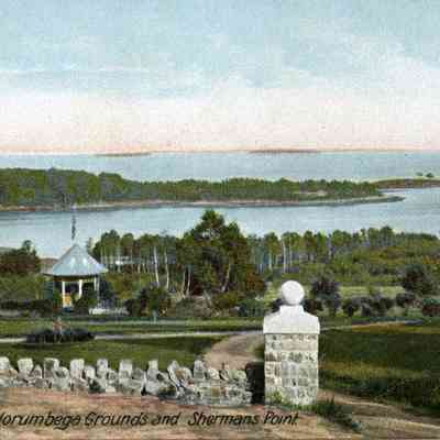 Milliken Collection 146