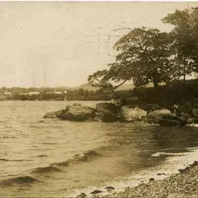 Milliken Collection 147