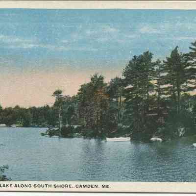 Bowley Collection Postcard 240