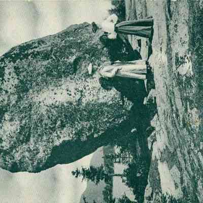 Milliken Collection 148