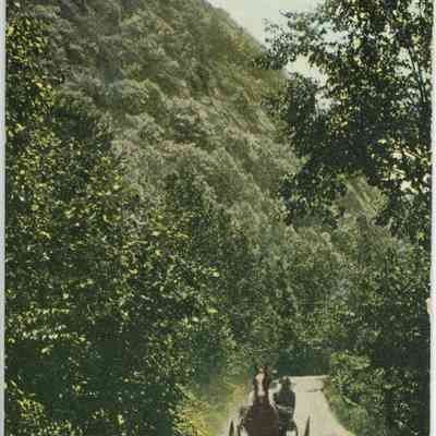 Bowley Collection Postcard 241 A