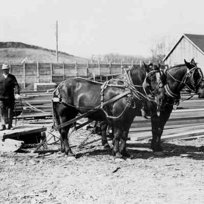 George Prescott and "team"