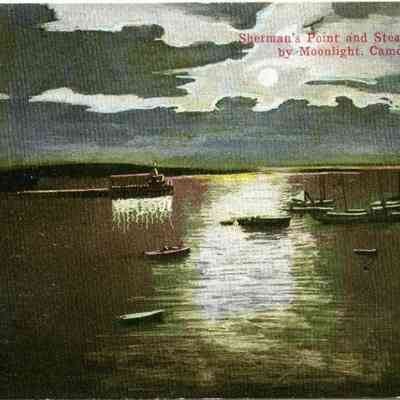 Milliken Collection 151