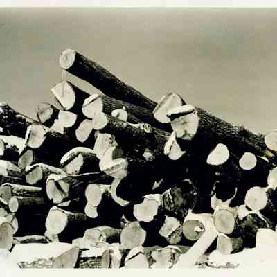 Log Pile