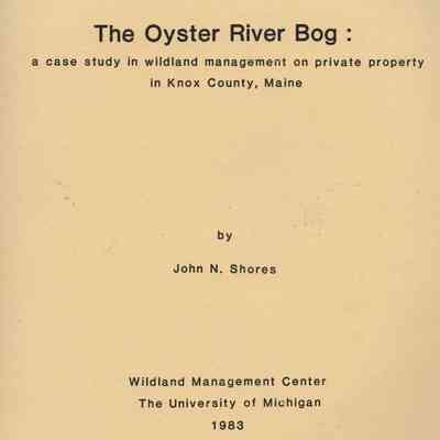 Oyster River Bog