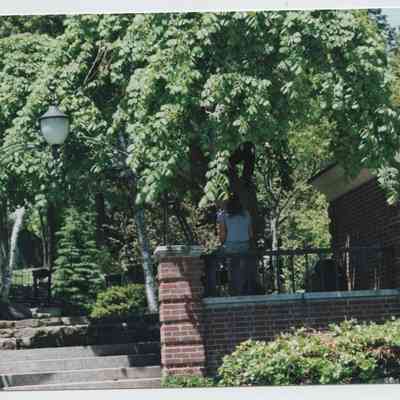 Camden Public Library in 1994/1995
