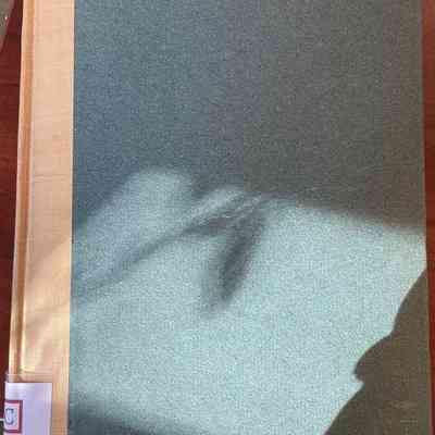 The Princess Marries the Page