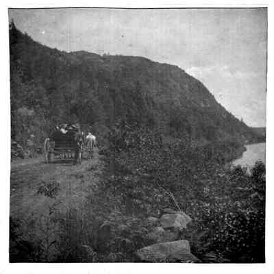 Turnpike Road, Camden