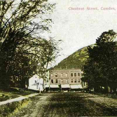 Milliken Collection 161