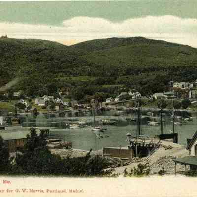 Milliken Collection 163