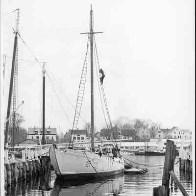 Bowdoin At Anchor Camden