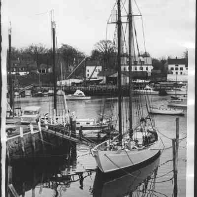 Bowdoin At Anchor In Camden