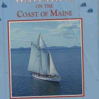 Windjammer Watching on the Coast of Maine