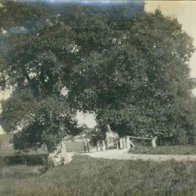 Willows Simontons Corner