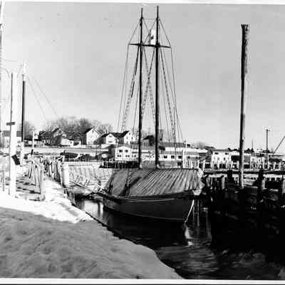 Bowdoin In Winter Camden