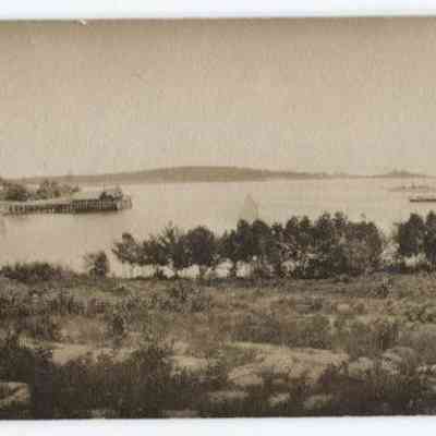 Camden harbor and steamship wharf postcard: Origformat: Print-Photographic