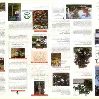 Heritage Trees and Treescapes of Camden, Maine