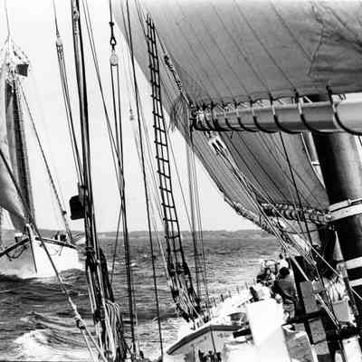 Roseway&adventure Race