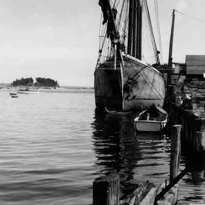 Theoline In Camden Harbor