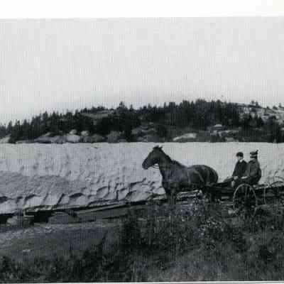 Milliken Collection 186