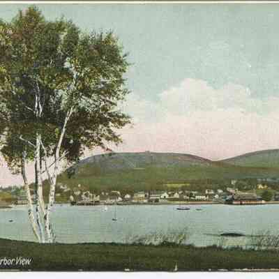 Bowley Collection Postcard 262 A