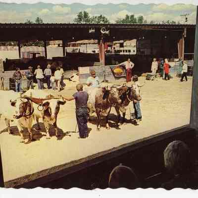 Pat Jones Postcard Collection 009