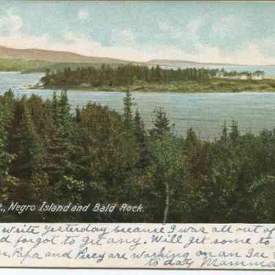 Bowley Collection Postcard 263 A