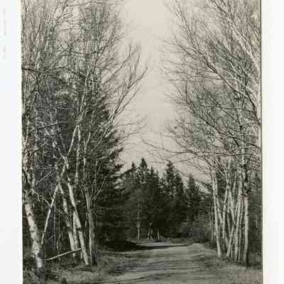 Pat Jones Postcard Collection 011