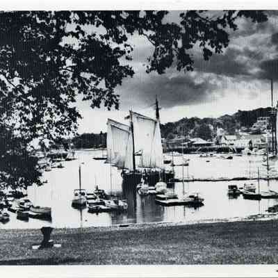 Milliken Collection 190