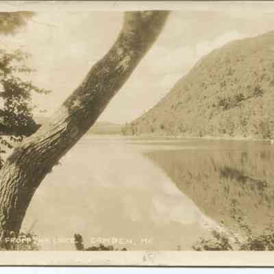 Bowley Collection Postcard 264 A