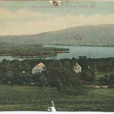 Bowley Collection Postcard 136 A