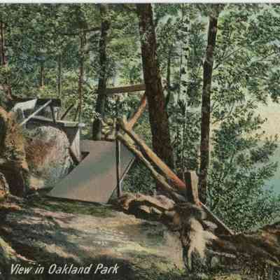 Bowley Collection Postcard 006 A