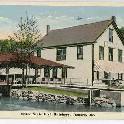 Pat Jones Postcard Collection 017