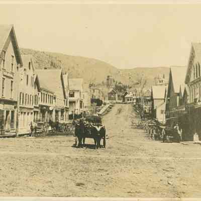 Oxen on Main Street